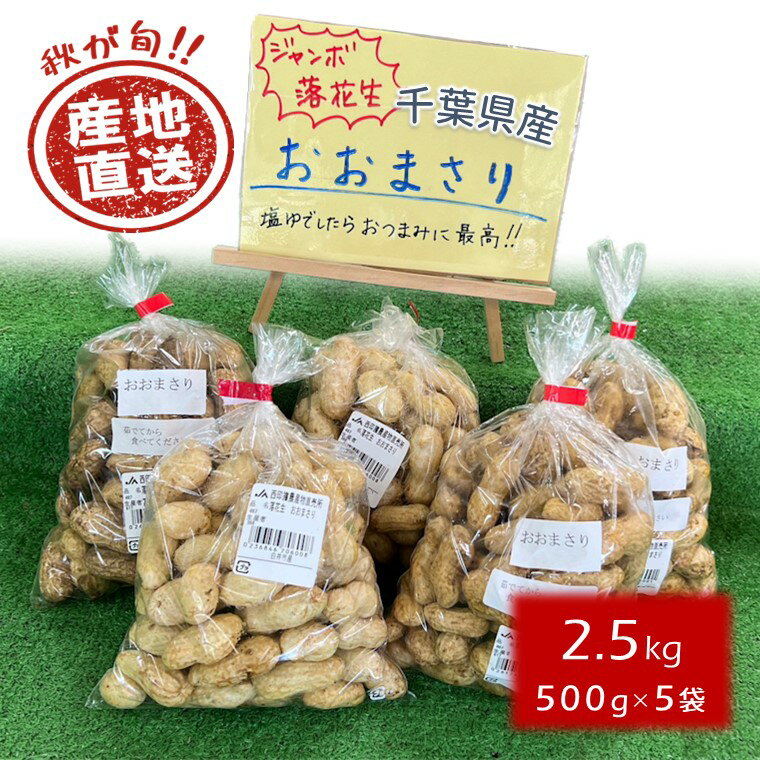 【ふるさと納税】落花生 おおまさり 千葉県産 2.5kg 殻付き 生落花生 ピーナッツ 大粒 おつまみ 産地直送のサムネイル