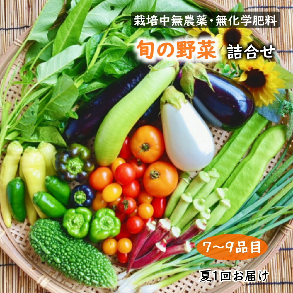 【ふるさと納税】旬の野菜セット 夏野菜 栽培中無農薬 無化学肥料 7～9品目のサムネイル