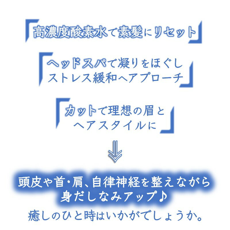 【ふるさと納税】身だしなみアップコース ヘッドスパ 高濃度酸素水 カット まゆカット 90分コース【メンズ限定】その2