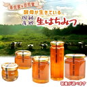 【ふるさと納税】はちみつ 非加熱 国産 純粋 百花蜜 単花蜜 国産はちみつ 100% 純粋はちみつ 生はちみつ 純粋 美味しい おすすめ
