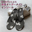 【ふるさと納税】インソール オーダーメイド 疲れない 中敷き 姿勢 矯正 疲労軽減 足の痛み 膝痛 偏平足 外反母趾 足底筋膜炎 足のゆがみ 足の疲れ 歩き仕事...