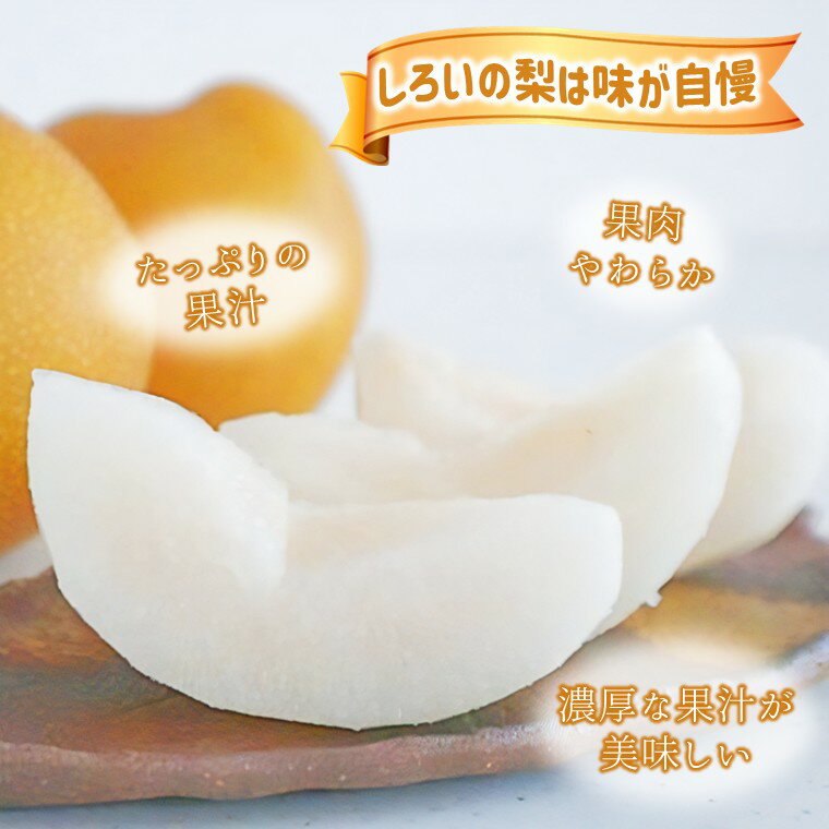 【ふるさと納税】【2026年秋収穫分】豊水 先行予約 梨 5kg 9～16玉 10箱限定 農家直送 採りたて もぎたて 新鮮 果汁たっぷり 甘い みずみずしい 美味しい おすすめ アウーファーム【お届け地域限定】