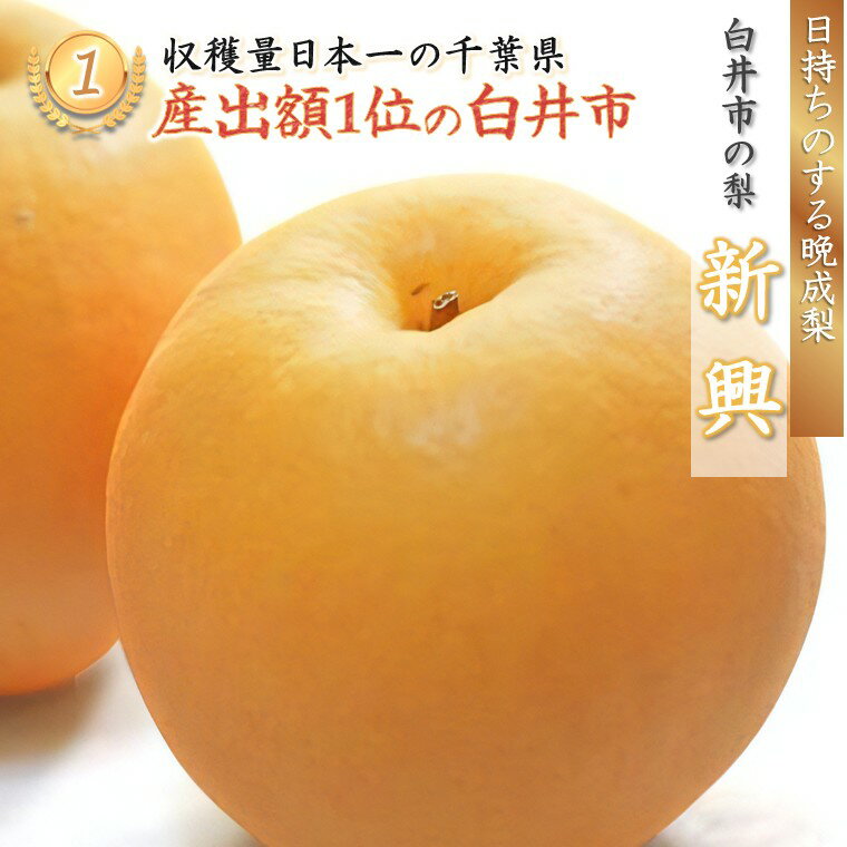 【ふるさと納税】【2026年秋収穫分】新興 先行予約 梨 5kg 9～12玉 10箱限定 農家直送 採りたて もぎたて 新鮮 甘い みずみずしい 美味しい おすすめ アウーファーム【お届け地域限定】