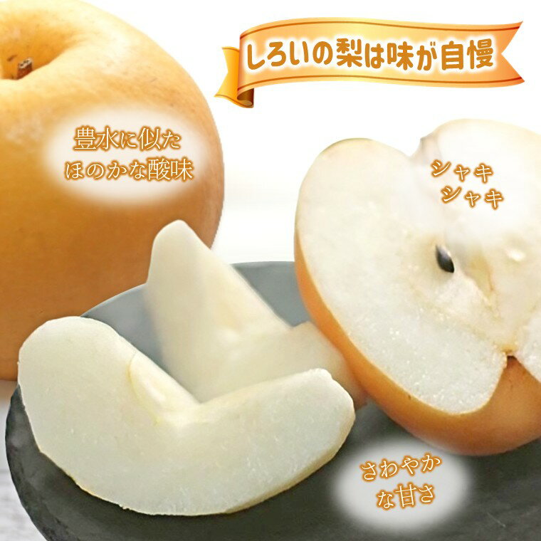 【ふるさと納税】【2026年秋収穫分】新興 先行予約 梨 5kg 9～12玉 10箱限定 農家直送 採りたて もぎたて 新鮮 甘い みずみずしい 美味しい おすすめ アウーファーム【お届け地域限定】