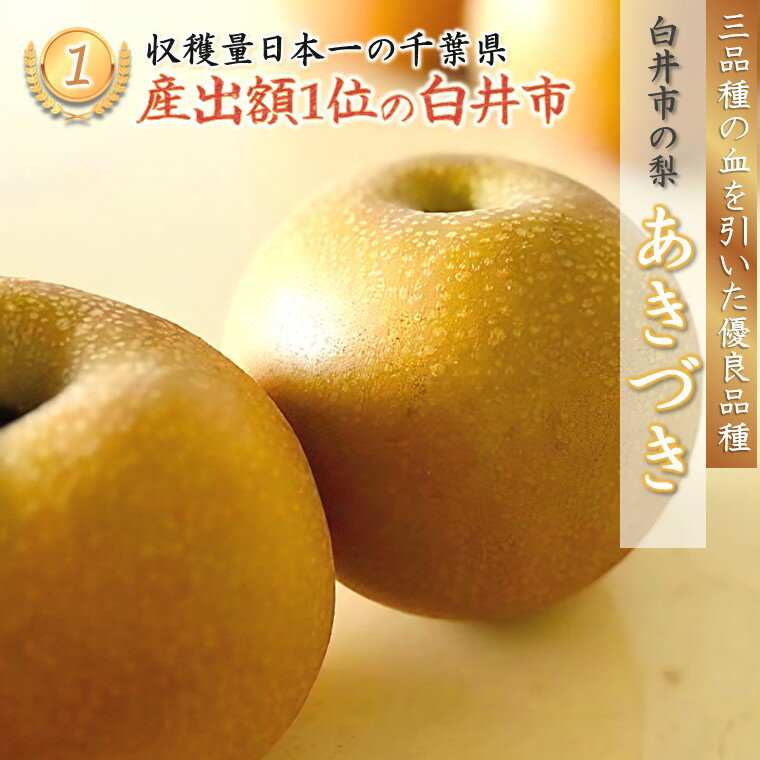 【ふるさと納税】【2026年秋収穫分】あきづき 先行予約 梨 5kg 9～16玉 10箱限定 農家直送 採りたて もぎたて 新鮮 果汁たっぷり 甘い みずみずしい 美味しい おすすめ アウーファーム【お届け地域限定】