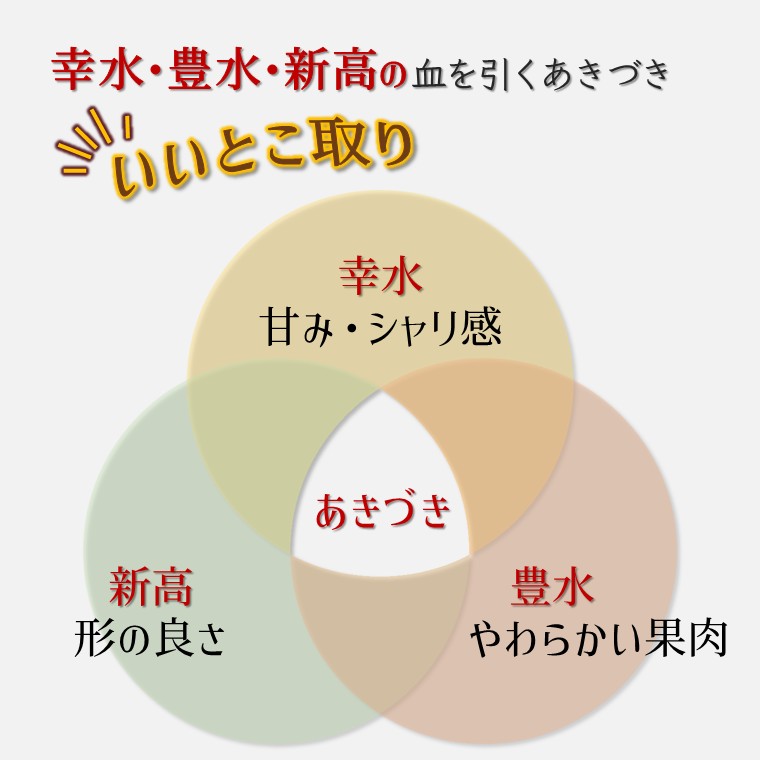 【ふるさと納税】【2026年秋収穫分】あきづき 先行予約 梨 5kg 9～16玉 10箱限定 農家直送 採りたて もぎたて 新鮮 果汁たっぷり 甘い みずみずしい 美味しい おすすめ アウーファーム【お届け地域限定】