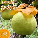 【ふるさと納税】【今秋収穫分】梨 かおり 5kg 6~9玉 予約受付 しろいの梨 美味しい 甘い 大玉 おすすめ ジューシー フルーツ 果物 特産品