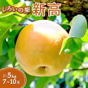 【ふるさと納税】梨 新高 5kg 7~10玉 千葉県 白井市 しろいの梨 JA西印旛農産物直売所「やおぱぁく」 美味しい おすすめ 甘い