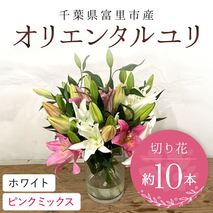 富里市産　オリエンタルユリ切り花（ホワイト・ピンクミックス）約10本 ふるさと納税 オリエンタルユリ おりえんたるゆり ユリ ゆり 花 はな 切り花 きりばな 送料無料 千葉県 富里市 TMG001