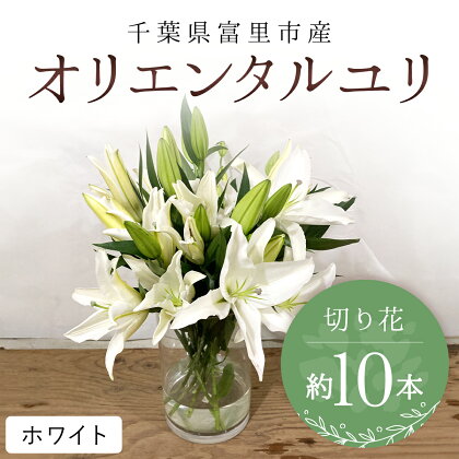 富里市産　オリエンタルユリ切り花（ホワイト）約10本 ふるさと納税 オリエンタルユリ おりえんたるゆり ユリ ゆり 花 はな 切り花 きりばな 送料無料 千葉県 富里市 TMG002