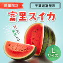 【ふるさと納税】 富里スイカ(Lサイズ)1玉 すいか スイカ 西瓜 千葉県 富里市 果物 フルーツ 採れたて とれたて 産地直送 農家直送 千..