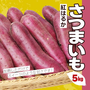 【ふるさと納税】 さつまいも5kg（紅はるか） さつまいも サツマイモ さつま芋 薩摩芋 べにはるか ベニハルカ 紅はるか 紅ハルカ 5kg おさつ あまい 甘い 甘味 しっとり 糖度 スイーツ スイート ポテト おやつ 熟成 千葉県 富里市 産地直送 千葉産 千葉県産 TMF003