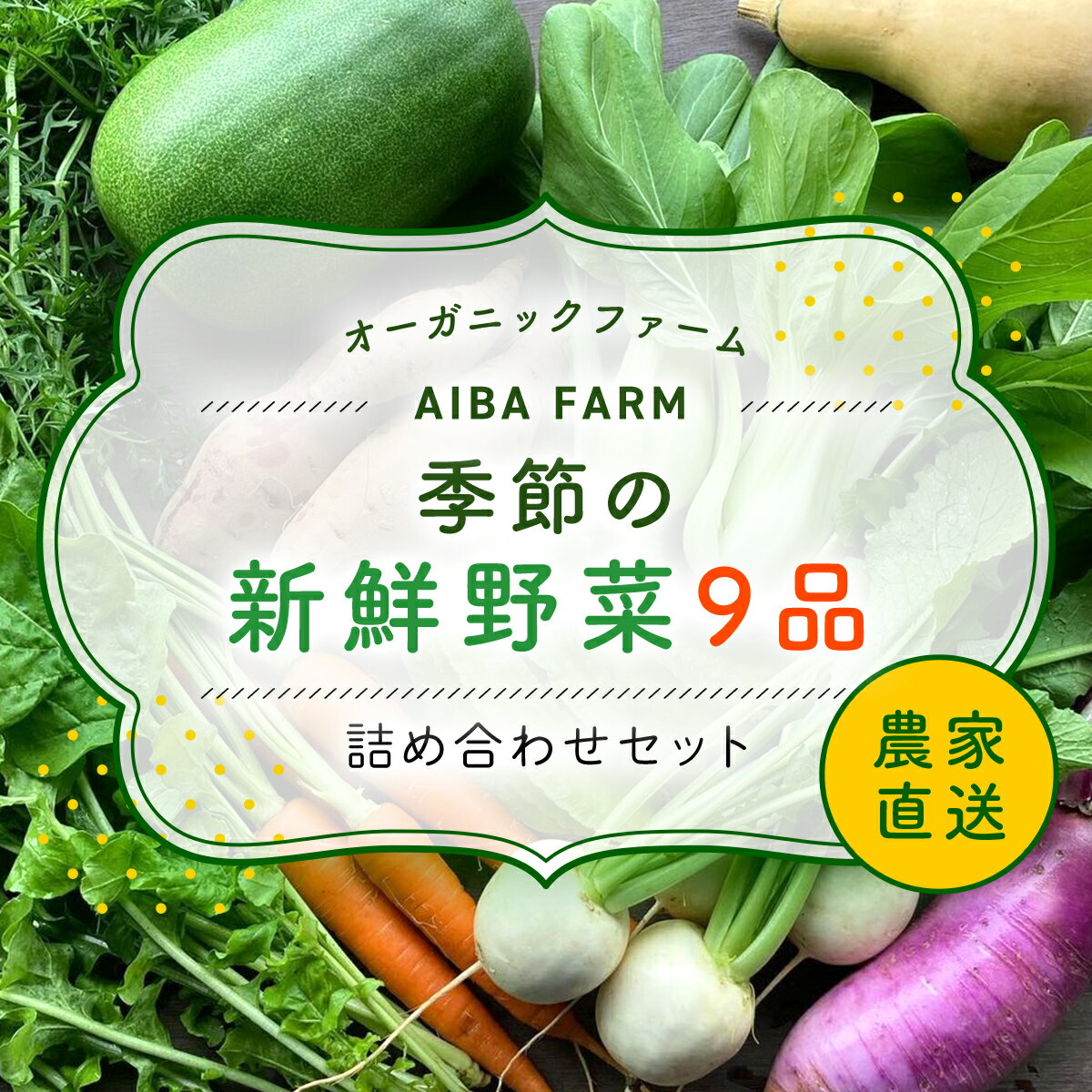 農家直送![栽培期間中農薬不使用]季節の新鮮野菜「9品」詰め合わせセット オーガニックファーム AIBA FARM 野菜セット 無農薬 野菜 千葉県 富里市 直送野菜 お野菜セット 旬野菜 季節野菜 農家直送 採れたて とれたて やさい 詰め合わせ セット