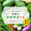 【ふるさと納税】 農家直送！【栽培期間中農薬不使用】季節の新鮮野菜「9品」詰め合わせセット オーガニックファーム AIBA FARM 野菜セ..