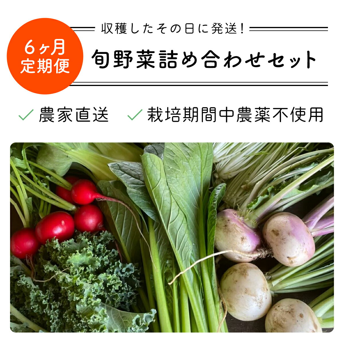 千葉県富里市の画像3