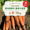 【ふるさと納税】【12月~2月発送】【栽培期間中農薬不使用】訳あり人参10kg オーガニックファーム AIBA FARM B品 / 野菜 にんじん 人参 ニンジン 特産 甘い 訳あり 不揃い B級 オーガニック organic フードロス 千葉県 富里市 TML007