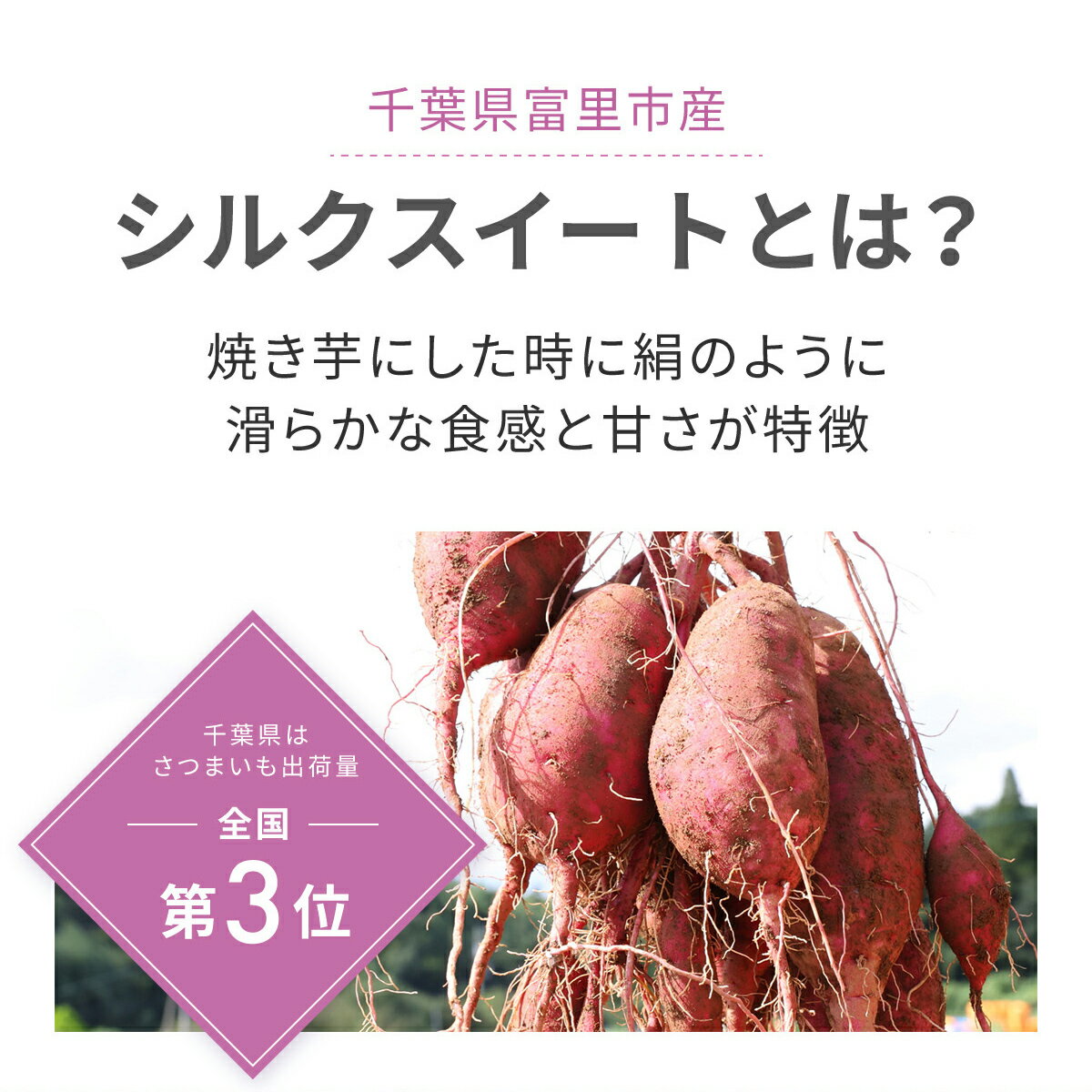 【ふるさと納税】 【2024年9月以降発送】【3か月定期便】千葉県富里市産　シルクスイート 3kg サイズ混載 土付き さつまいも サツマイモ シルクスイート しるくすいーと おさつ 甘藷 唐いも あまい 甘い スイーツ スイート ポテト おやつ 千葉県 富里市 TMH007