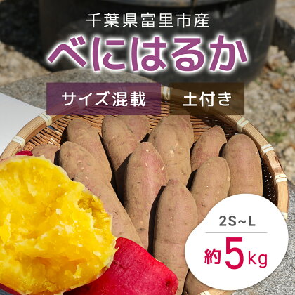 【2024年11月以降発送】千葉県富里市産　べにはるか　5kg　サイズ混載　土付き さつまいも サツマイモ 紅はるか べにはるか おさつ 甘藷 唐いも あまい 甘い スイーツ スイート ポテト おやつ 焼き芋 千葉県 富里市 TMH004