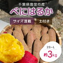 16位! 口コミ数「0件」評価「0」【2024年11月以降発送】千葉県富里市産　べにはるか　3kg　サイズ混載　土付き さつまいも サツマイモ 紅はるか べにはるか おさつ 甘･･･ 