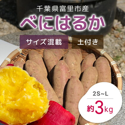 【2024年11月以降発送】千葉県富里市産　べにはるか　3kg　サイズ混載　土付き さつまいも サツマイモ 紅はるか べにはるか おさつ 甘藷 唐いも あまい 甘い スイーツ スイート ポテト おやつ 焼き芋 千葉県 富里市 TMH003