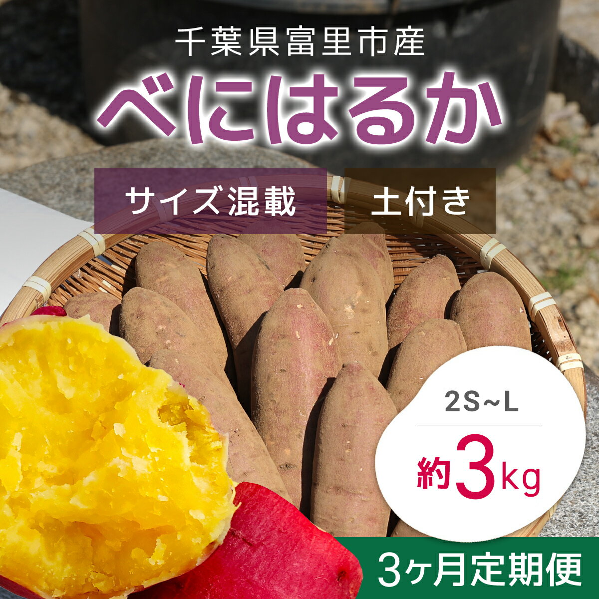 [2024年11月以降発送][3か月定期便]千葉県富里市産 べにはるか 3kg サイズ混載 土付き さつまいも サツマイモ 紅はるか べにはるか おさつ 甘藷 唐いも あまい 甘い スイーツ スイート ポテト おやつ 焼き芋 千葉県 富里市