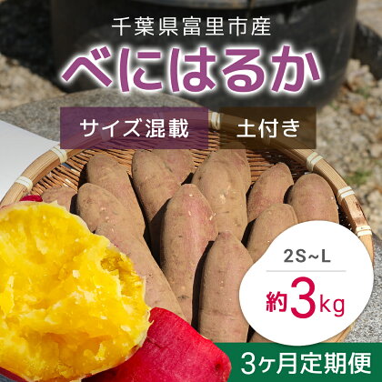 【2024年11月以降発送】【3か月定期便】千葉県富里市産　べにはるか　3kg　サイズ混載　土付き さつまいも サツマイモ 紅はるか べにはるか おさつ 甘藷 唐いも あまい 甘い スイーツ スイート ポテト おやつ 焼き芋 千葉県 富里市 TMH008