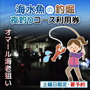 【ふるさと納税】屋内型 海水魚の釣堀夜釣りコース利用券(土曜日・オマール海老狙いの夜釣り※要予約) / ふるさと納税 利用券 チケット 釣り フィッシング 釣り...