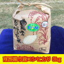 5651-0605【2019年新米】南房総市産コシヒカリ3Kg(9月からお届け) - 千葉県南房総市