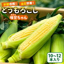 4位! 口コミ数「6件」評価「4.83」【先行受付2024年6月中旬よりお届け】早朝収穫！当日到着！とうもろこし10～12本（味甘ちゃん）【関東+山梨へのお届け】 mi0046-0･･･ 