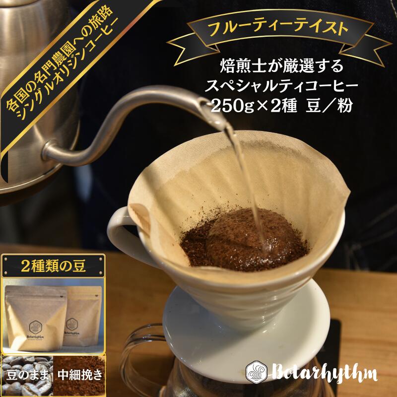  スペシャルティーコーヒー フルーティーテイスト 250g×2種類 豆/粉 mi0043-0010 千葉県 南房総市 飲み物 コーヒー 豆のまま 中細挽き 果実味 芳醇 焙煎師 セレクト オリジナル レシピ同封 風味 送料無料