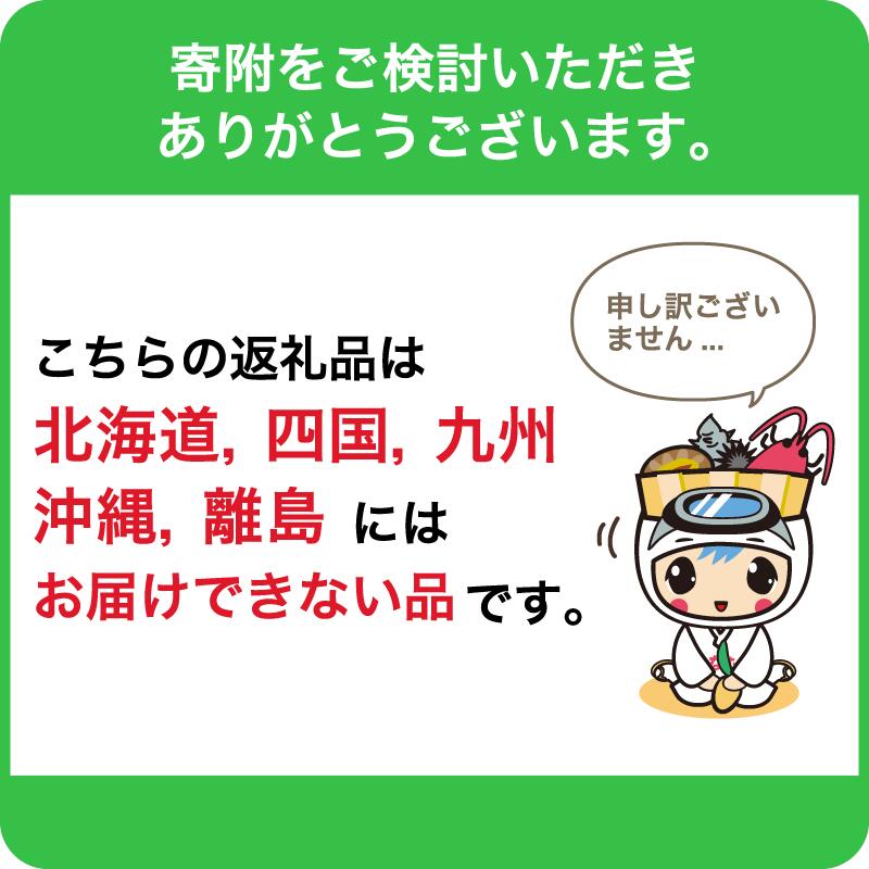 【ふるさと納税】【先行受付 2024.5月よりお届け】〈訳あり〉房州びわ(露地栽培) 2kg 詰め合わせ mi0038-0001千葉県 南房総市 食べ応え フルーツ 果物 お取り寄せ グルメ 送料無料