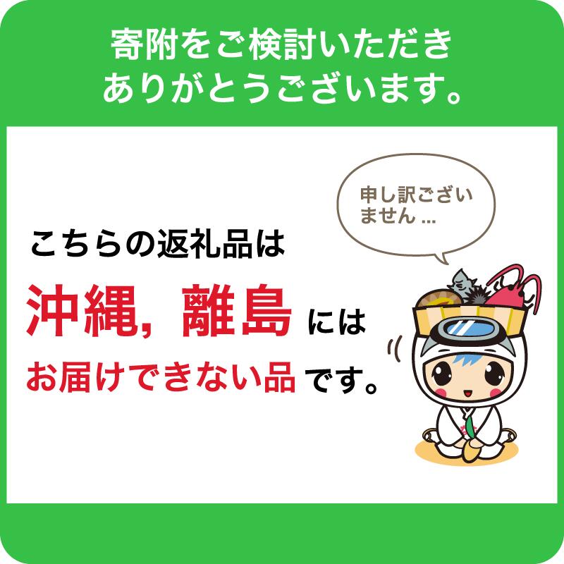 【ふるさと納税】【定期便：お届け回数が選べる】 安房麦酒 ビール飲み比べ5種6本セット mi0097-0003 千葉県 南房総市 クラフトビール 地ビール 非加熱 アンバーエール ペールエール ダークエール ブルーベリーエール 黒ビール ホワイトビール フルーツビール 送料無料 2