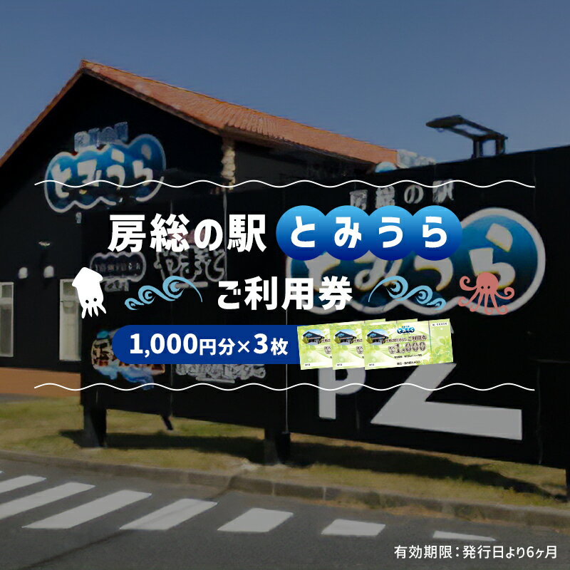 6位! 口コミ数「0件」評価「0」 房総の駅とみうらご利用券 1000円分×3枚 mi0069-0001 千葉県 南房総市 旅行 土産 鮮魚 特産品 食事 寿司 ラーメン 海･･･ 