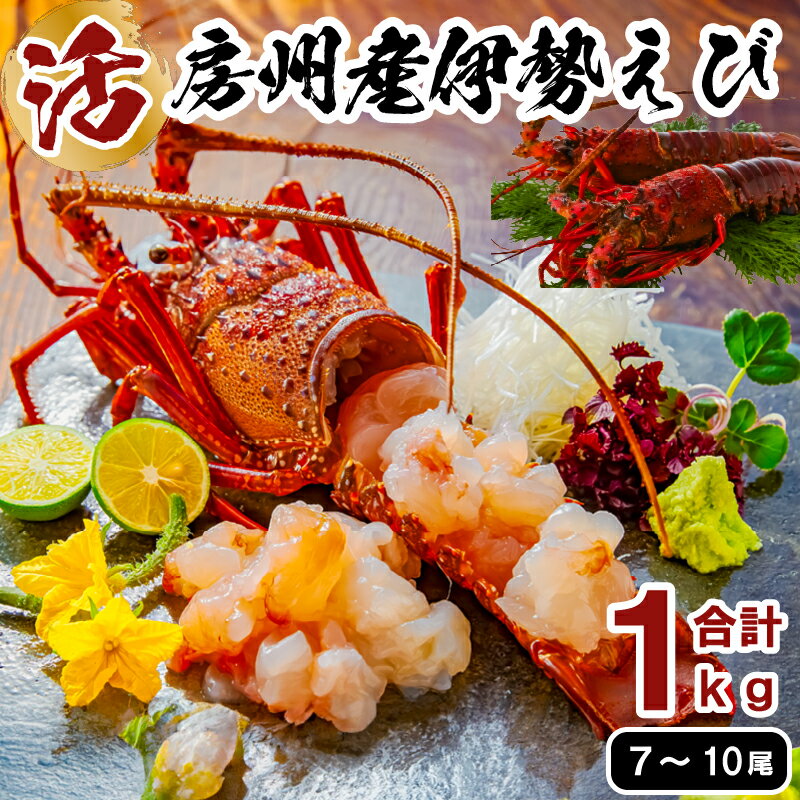 【ふるさと納税】活★房州産伊勢えび(房州海老)総量 1kg【