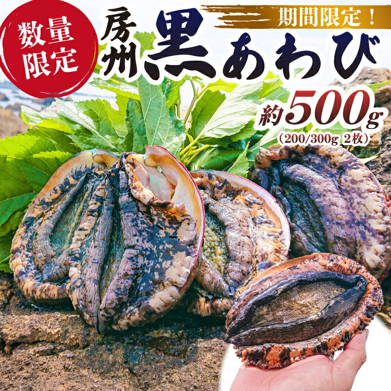 78位! 口コミ数「0件」評価「0」 【先行受付 2026年5月～9月初旬発送予定】【数量限定】房州 黒あわび 約500g (200/300g × 2枚)千葉県 南房総市 あわび 貝類 特産品 海産物 お刺身 踊り焼 ギフト ご褒美 お･･･ 