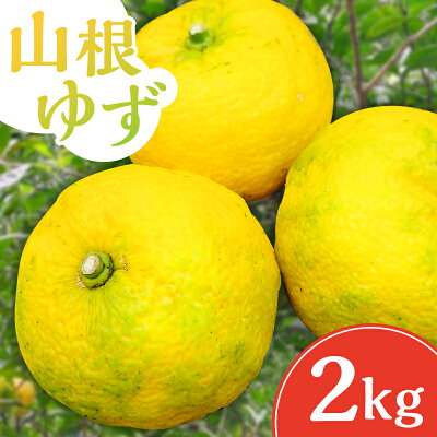 楽天ふるさと納税 【ふるさと納税】山根ゆず 2kg 千葉県 南房総市 果物 果実 フルーツ 柑橘類 国産 マーマレード 薬味 香りづけ 料理 アクセント お取り寄せ グルメ 送料無料