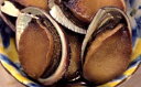5651-0191【ふるさと納税】房州名物!とこぶしのやわらか煮