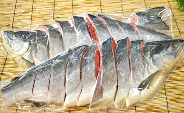 【ふるさと納税】新巻鮭1本(切身) 1.5kg前後(北海道産) 5651-0496