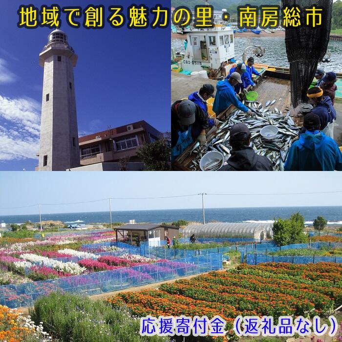 楽天千葉県南房総市【ふるさと納税】（返礼品なし）地域で創る魅力の里・南房総市　応援寄付金