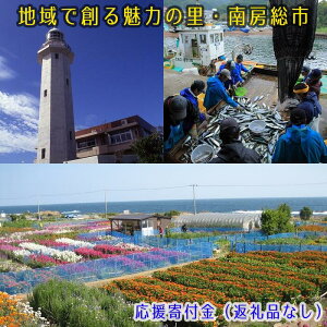 【ふるさと納税】（返礼品なし）地域で創る魅力の里・南房総市　応援寄付金