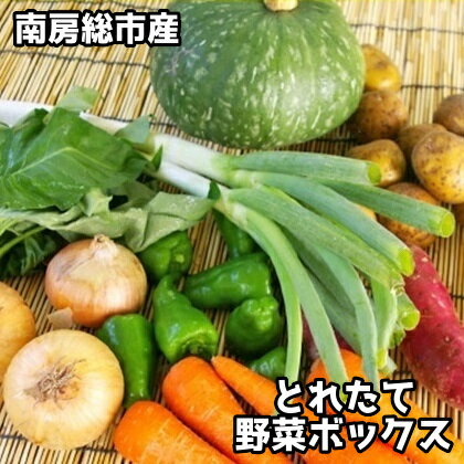 全国お取り寄せグルメ千葉野菜セット・詰め合わせNo.9