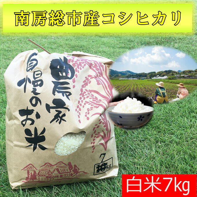 コシヒカリ こしひかり 白米 7kg 精米 南房総市産