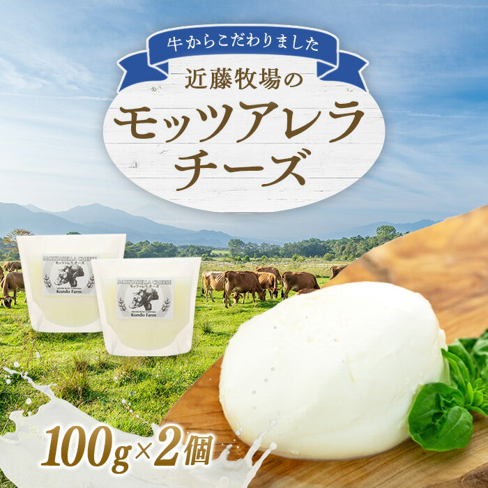 楽天千葉県南房総市【ふるさと納税】 近藤牧場のモッツアレラチーズ 100g×2個 mi0003-0003 千葉県 南房総市 新鮮 牛乳 ミルキー さわやか フレッシュチーズ 手作り 食感 モッツァレラ チーズ おつまみ トッピング 乳製品 送料無料