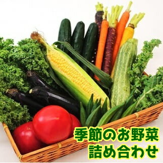 23位! 口コミ数「0件」評価「0」 【南房総市産】季節のお野菜詰め合わせ mi0047-0001 千葉県 南房総市 旬 新鮮 旬野菜 セット レシピ アレンジ 栄養素 食材 ･･･ 