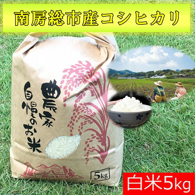 7位! 口コミ数「0件」評価「0」 【令和5年産】南房総市産コシヒカリ5kg mi0018-0012 千葉県 南房総市 管理栽培 味 香り ごはん おにぎり 焼きおにぎり 炊･･･ 