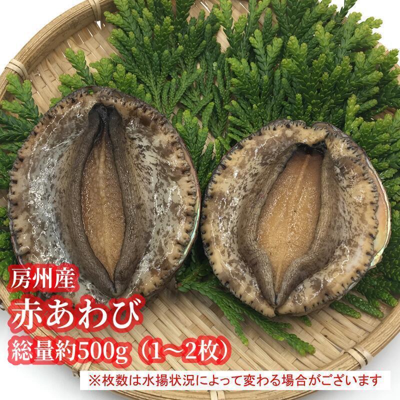 房州産天然赤あわび 約500g mi0014-0024 千葉県 南房総市 水産物 海産物 あわび 国産 魚貝 貝 巻貝 海鮮 素潜り漁 メガイ 女貝 柔らかい お刺身 酒蒸し 冷蔵 お取り寄せ グルメ 送料無料