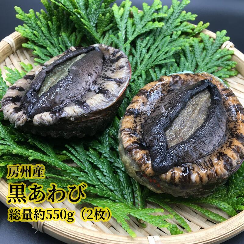 房州産天然黒あわび約550g mi0014-0007 千葉県 南房総市 海産物 貝 魚貝 あわび ブランド 水産品 巻貝 国産 素潜り漁 天然 冷蔵 お取り寄せ グルメ 送料無料