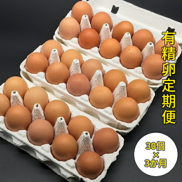 【ふるさと納税】【定期便】有精卵定期便（3か月連続毎月中旬頃お届け：配送月ごと割れ保証3個含む）栽培期間中農薬不使用の野菜で育てた平飼い鶏 mi0036-0002 千葉県 南房総市 送料無料のサムネイル