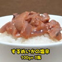 18位! 口コミ数「0件」評価「0」 イカの塩辛一本造り 瓶入り 100g×3本 mi0012-120 千葉県 南房総市 おかず お酒のお供 相性抜群 肉厚 するめいか まろや･･･ 