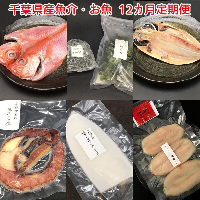 【ふるさと納税】【定期便】千葉県産魚介・お魚12カ月定期便 mi0022-0019 南房総市 旬 干物 自社加工 ..